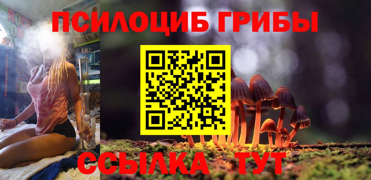 Моршанск  Псилоцибиновые грибы Cubensis  Вход с VPN  Псилоцибиновые грибы GOLDEN TEACHER 