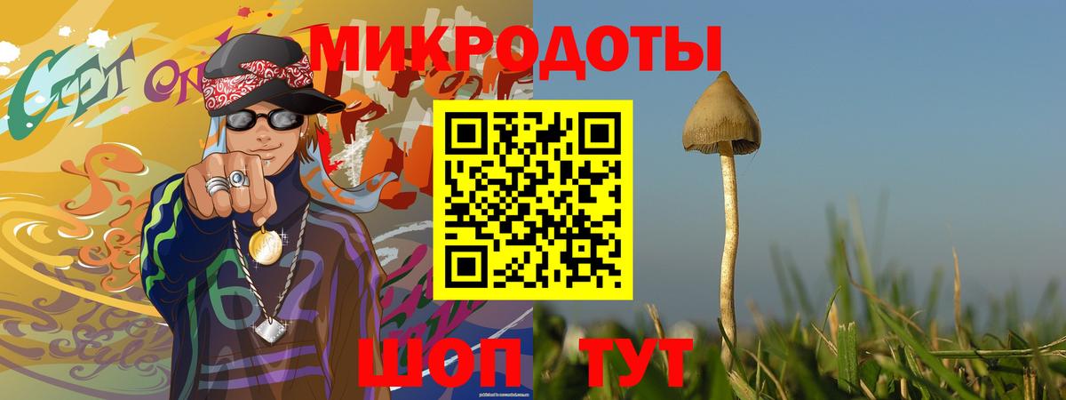 Галлюциногенные грибы MAGIC MUSHROOMS Моршанск